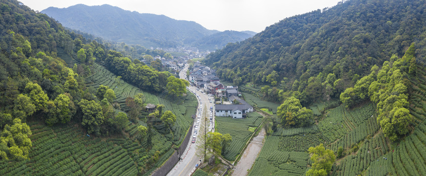 浙江杭州西湖龙井产地梅家坞