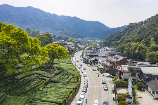 浙江杭州西湖龙井产地梅家坞