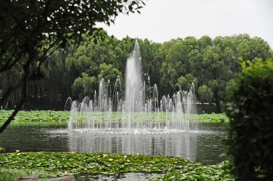 颐和园荷花池喷泉