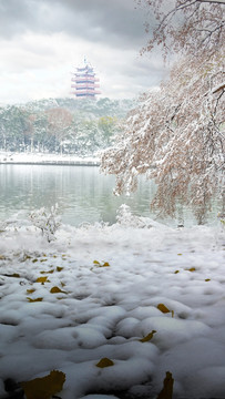 株洲市神农公园雪景