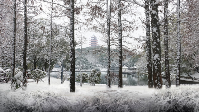 株洲市神农公园雪景