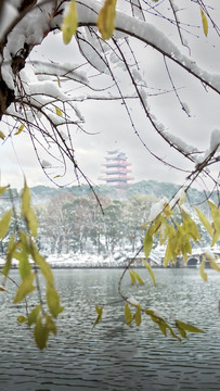 株洲市神农公园雪景