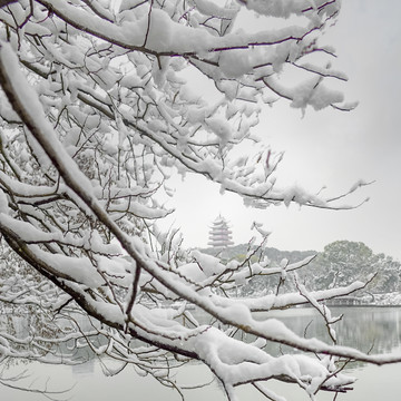 株洲市神农公园雪景