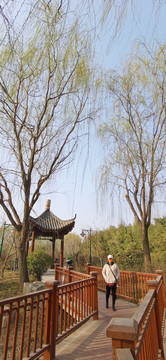 聊城春天
