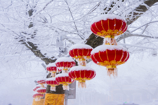 雪乡