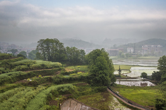 湘中丘陵田园风光