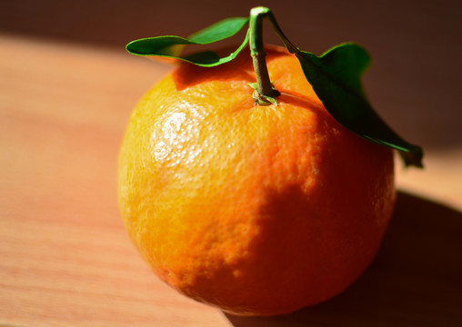光影橘子