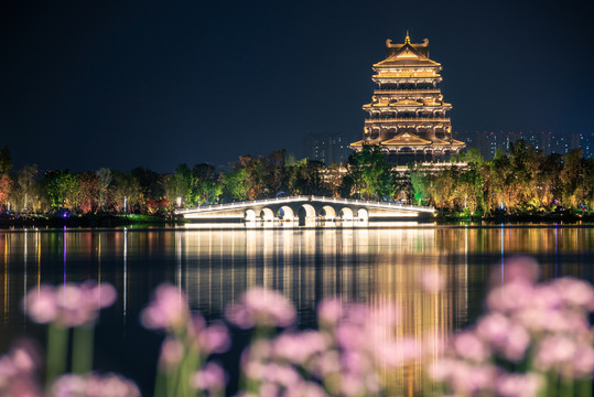 成都东安湖公园东安阁夜景