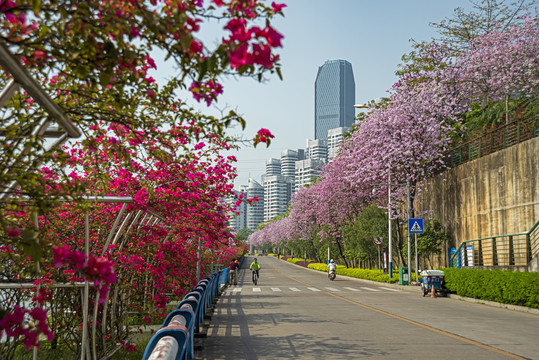 柳州东堤路风光