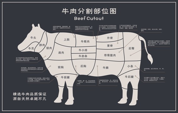 牛肉分解图