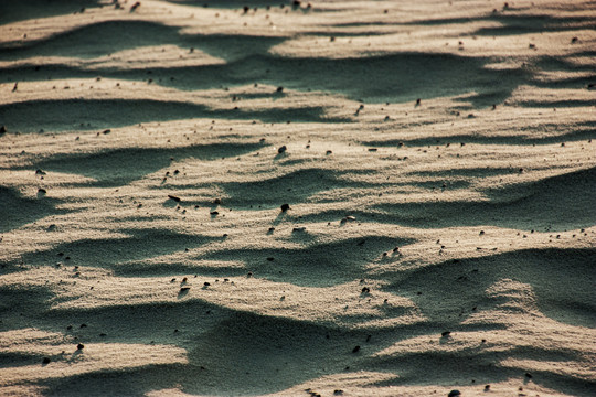 沙子纹理背景