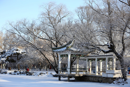 雪中风景