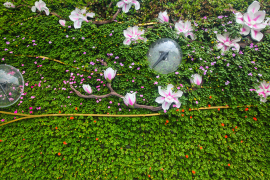 植物墙花墙