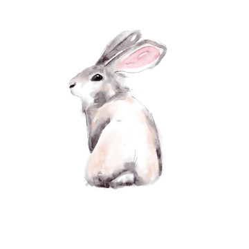 水彩ps手绘可爱动物兔子元素