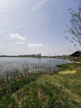 东安湖公园