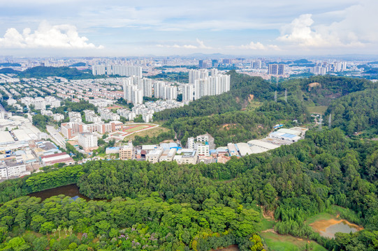 番禺大夫山风光