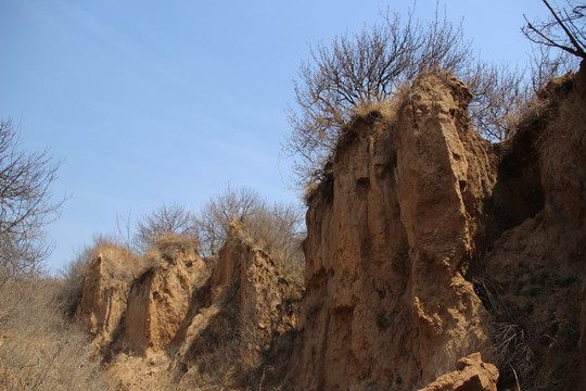 黄土高原