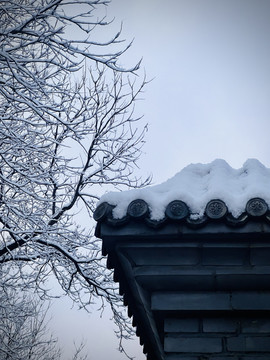 都市雪景