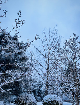 大自然雪景