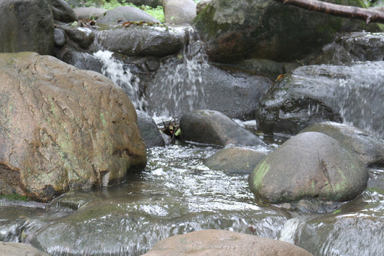 石头与溪流