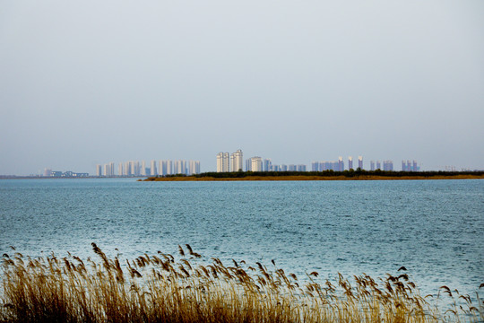 天津东丽湖