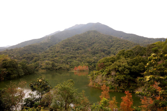 深圳恩上水库秋景