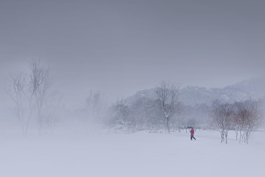 江南雪景