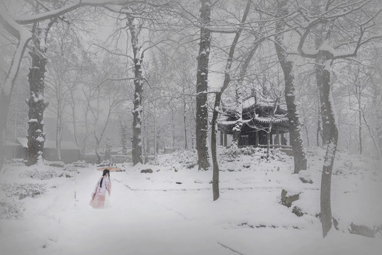 江南雪景