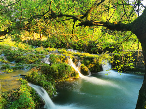 溪水风景