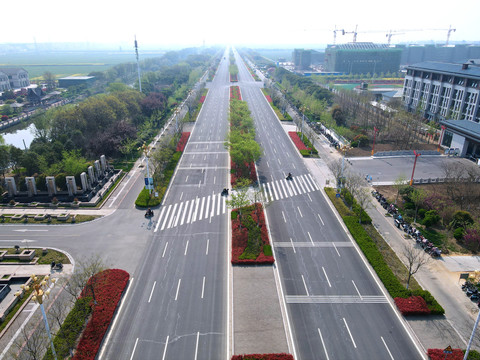 城市道路绿化带