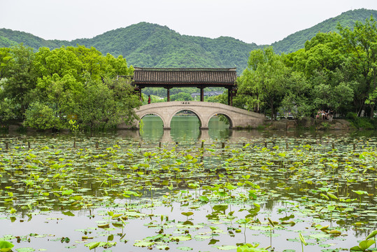 湘湖采莲桥
