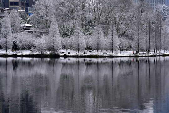 贵阳观山湖雪景