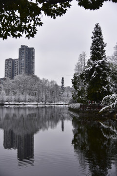 贵阳观山湖雪景