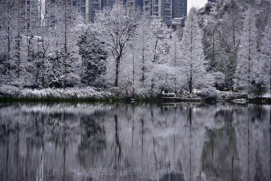 贵阳观山湖雪景