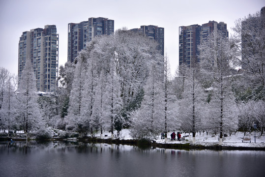 贵阳观山湖雪景