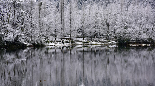 贵阳观山湖雪景