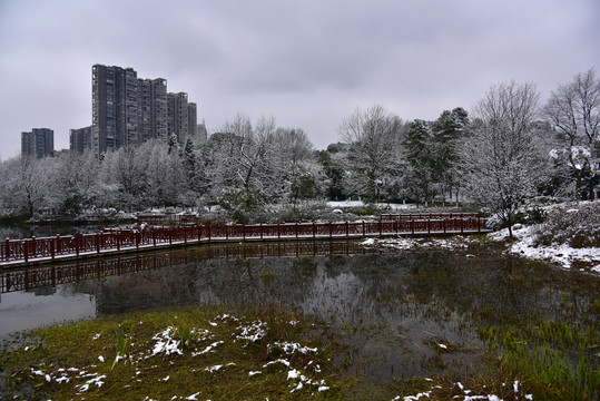 贵阳观山湖雪景