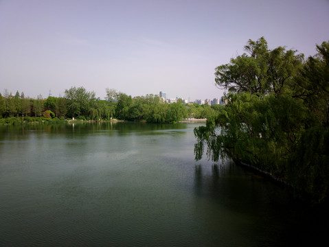 大明湖风景