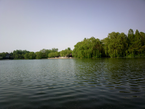 大明湖风景