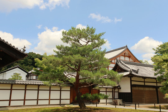 日本鹿苑寺