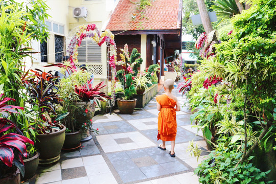 泰国僧侣