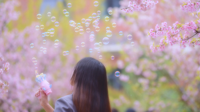 樱花少女与泡泡机