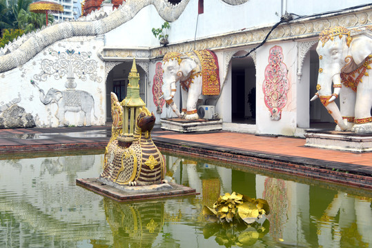 大金塔寺神兽智慧鸟大象雕塑