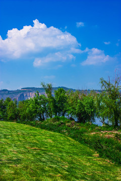 滇池湿地公园