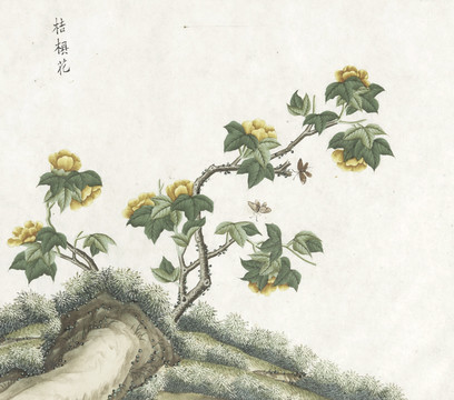 桔椇花水彩花卉国画素材插画