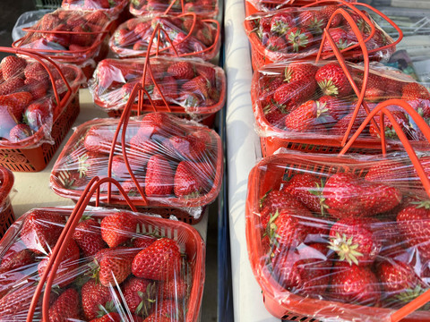 多盆草莓