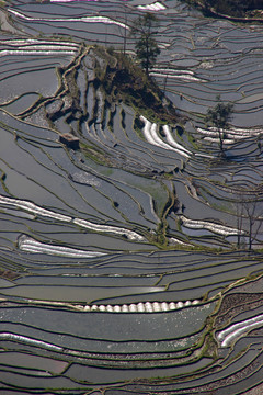 元阳梯田