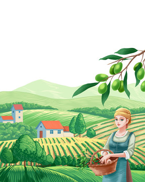 欧美风格橄榄油插画