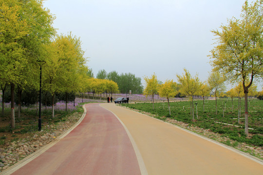 滹沱河生态景观