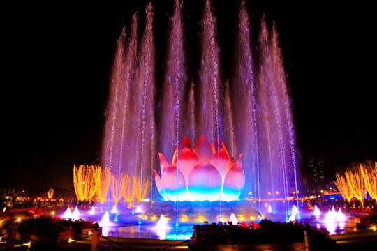 莲花喷泉夜景